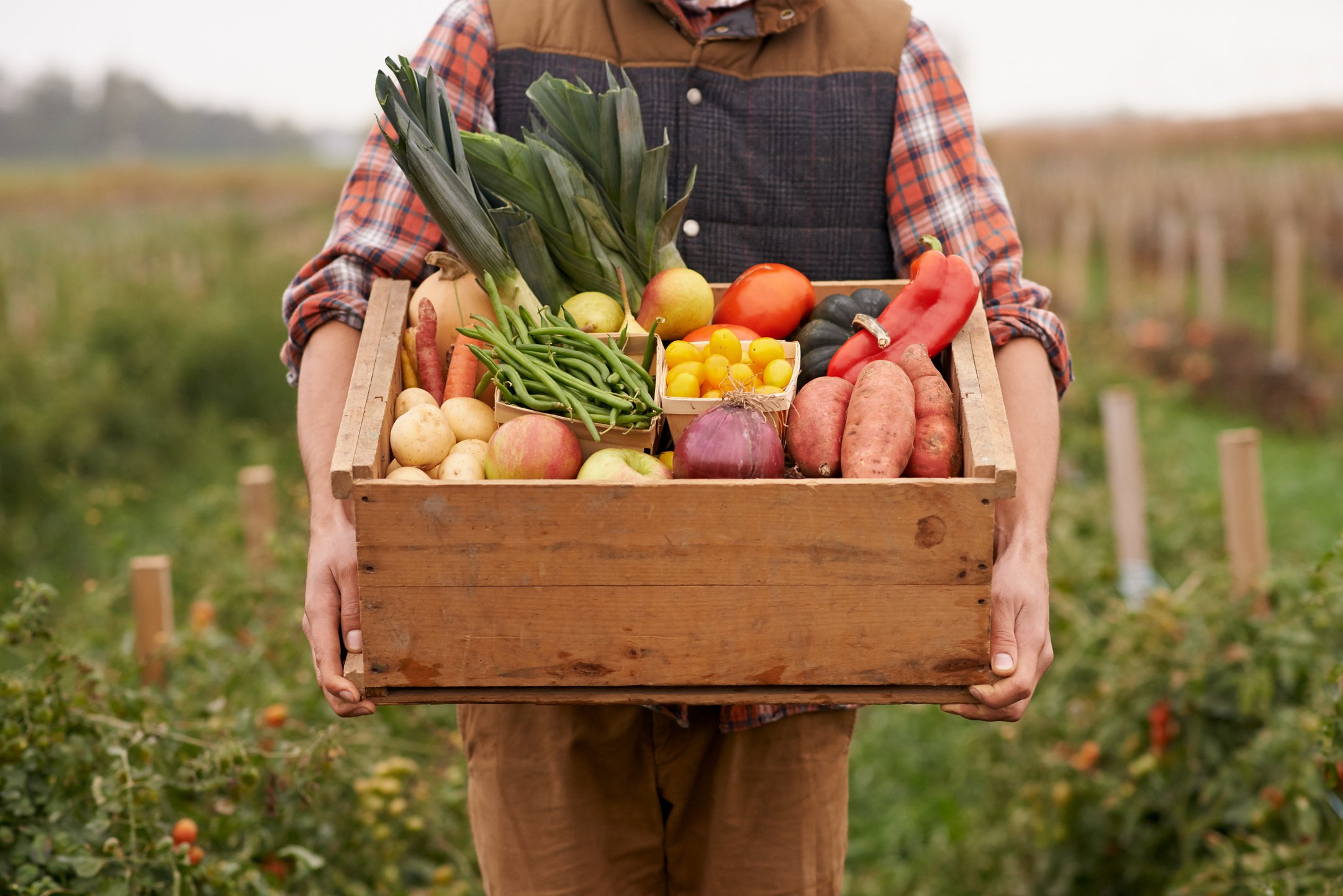 Farm fresh veggies!